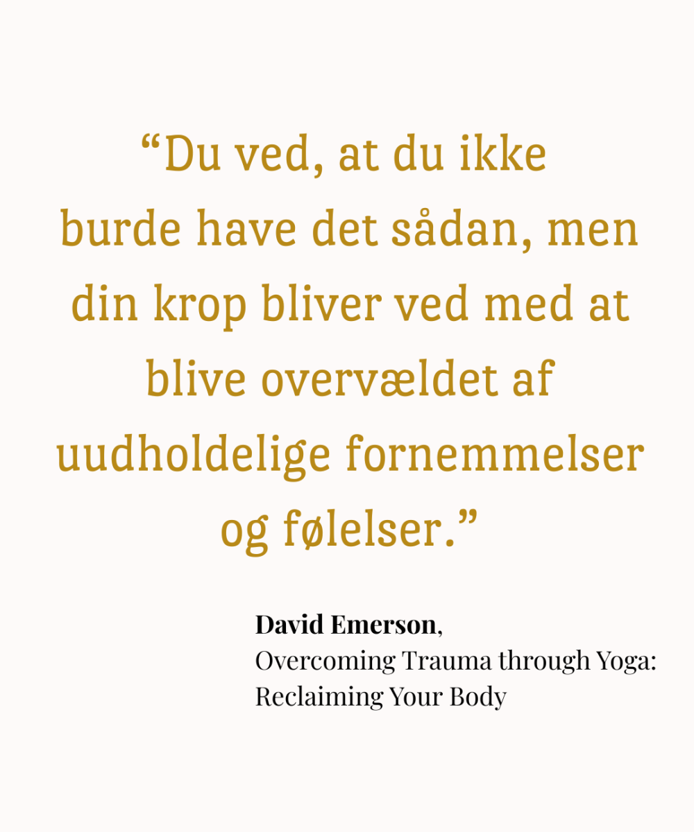 Traumeorienteret yoga, grundlæggende præmis